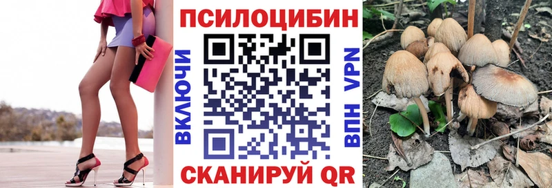 наркошоп  Бахчисарай  Галлюциногенные грибы мухоморы 